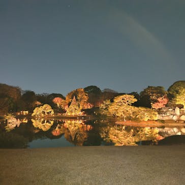 六義園に投稿された画像（2025/12/6）