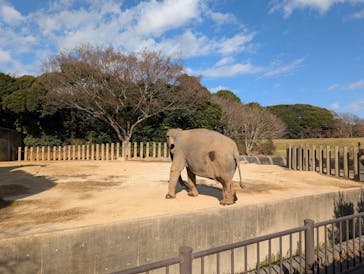 千葉市動物公園に投稿された画像（2025/12/6）