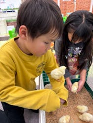 湘南あそびマーレに投稿された画像（2025/12/6）