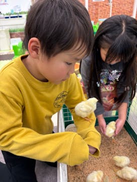 湘南あそびマーレに投稿された画像（2025/12/6）