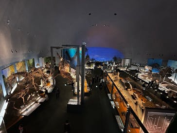福井県立恐竜博物館に投稿された画像（2025/12/6）
