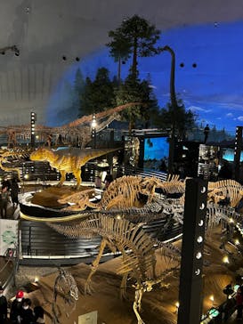 福井県立恐竜博物館に投稿された画像（2025/12/6）