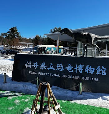 福井県立恐竜博物館に投稿された画像（2025/12/6）