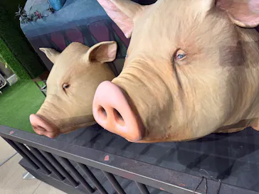 金曜ロードショーとジブリ展（静岡展）に投稿された画像（2025/12/6）