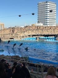 名古屋港水族館に投稿された画像（2025/12/6）