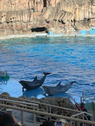 名古屋港水族館に投稿された画像（2025/12/6）