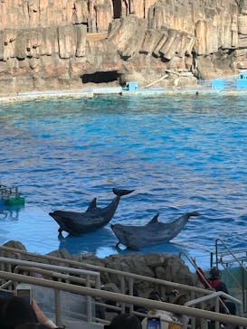 名古屋港水族館に投稿された画像（2025/12/6）