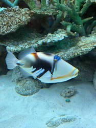 名古屋港水族館に投稿された画像（2025/12/6）