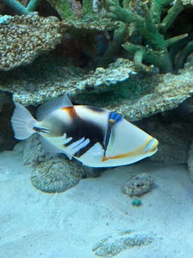 名古屋港水族館に投稿された画像（2025/12/6）