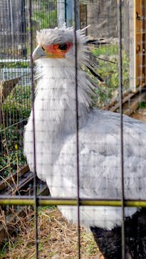 東武動物公園に投稿された画像（2025/12/6）