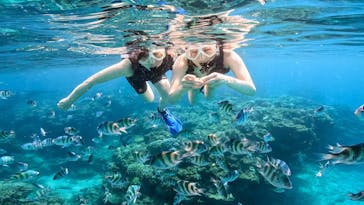 備瀬マリンレジャーに投稿された画像（2025/10/14）