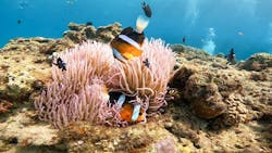 備瀬マリンレジャーに投稿された画像（2025/10/14）