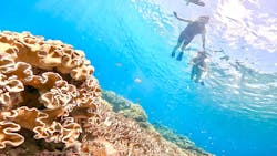 備瀬マリンレジャーに投稿された画像（2025/10/14）