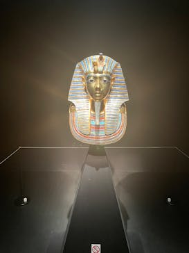 MYSTERY OF TUTANKHAMEN 体感型古代エジプト展に投稿された画像（2025/12/6）