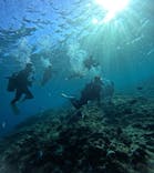 武藤潜水に投稿された画像（2025/12/6）