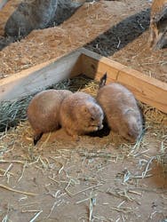 霞ケ浦 どうぶつとみんなのいえに投稿された画像（2025/12/6）