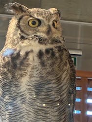 霞ケ浦 どうぶつとみんなのいえに投稿された画像（2025/12/6）