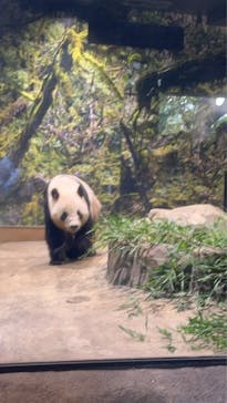 恩賜上野動物園に投稿された画像（2025/12/6）