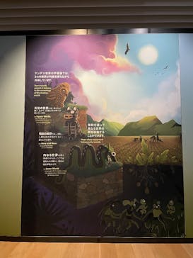 CREVIA マチュピチュ展／CREVIA MACHU PICCHU AND THE GOLDEN EMPIRES OF PERUに投稿された画像（2025/12/6）