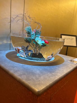 広島もとまち水族館に投稿された画像（2025/12/6）