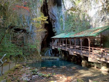 秋芳洞に投稿された画像（2025/12/6）