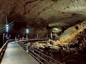 秋芳洞に投稿された画像（2025/12/6）