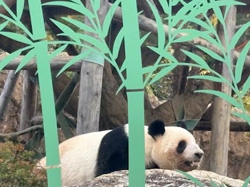 恩賜上野動物園に投稿された画像（2025/12/6）