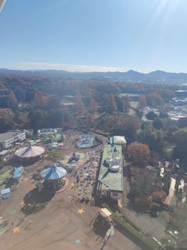 日本モンキーパークに投稿された画像（2025/12/6）