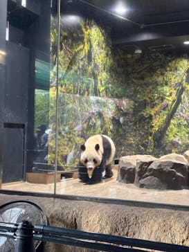 恩賜上野動物園に投稿された画像（2025/12/6）