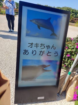 沖縄美ら海水族館に投稿された画像（2025/12/6）