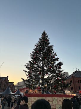 Christmas Market in 横浜赤レンガ倉庫 2025に投稿された画像（2025/12/6）