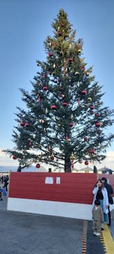 Christmas Market in 横浜赤レンガ倉庫 2025に投稿された画像（2025/12/6）