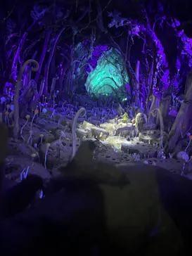 金曜ロードショーとジブリ展（静岡展）に投稿された画像（2025/12/6）