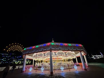 レオマリゾートに投稿された画像（2025/12/6）