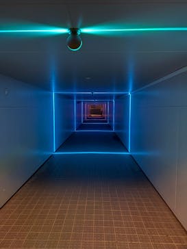 東京メガイルミに投稿された画像（2025/12/6）