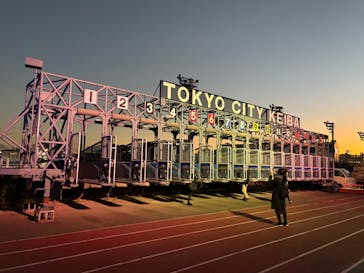 東京メガイルミに投稿された画像（2025/12/6）