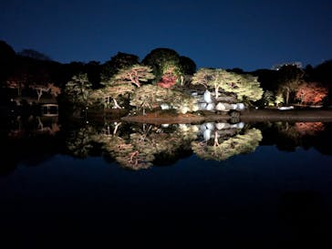 六義園に投稿された画像（2025/12/6）