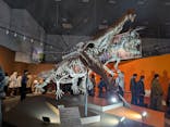特別展「大絶滅展―生命史のビッグファイブ」に投稿された画像（2025/12/6）