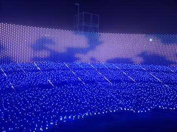 東京メガイルミに投稿された画像（2025/12/6）