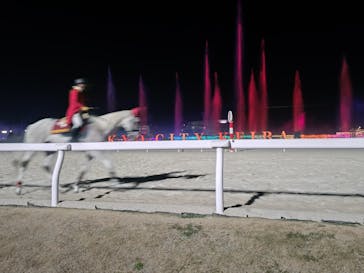 東京メガイルミに投稿された画像（2025/12/6）