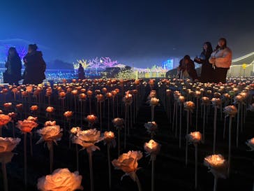 東京メガイルミに投稿された画像（2025/12/6）