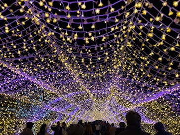 東京メガイルミに投稿された画像（2025/12/6）