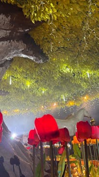 東京メガイルミに投稿された画像（2025/12/6）