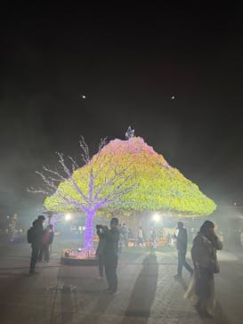 東京メガイルミに投稿された画像（2025/12/6）