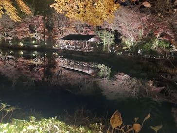 名古屋市東山動植物園に投稿された画像（2025/12/6）