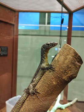 シン・マリホ水族館に投稿された画像（2025/12/6）