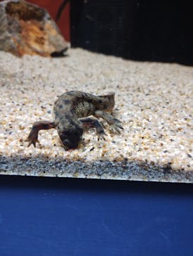 シン・マリホ水族館に投稿された画像（2025/12/6）