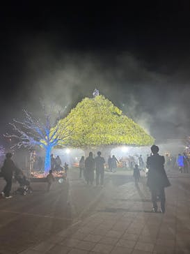 東京メガイルミに投稿された画像（2025/12/6）