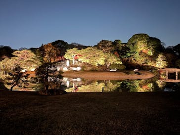 六義園に投稿された画像（2025/12/6）