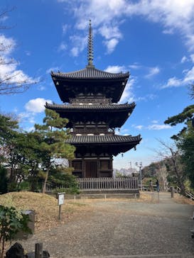 三溪園に投稿された画像（2025/12/6）